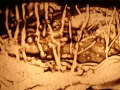 DSC02188